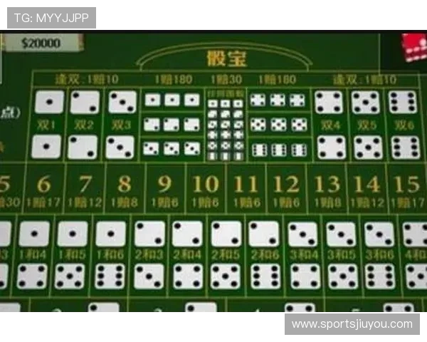 最新骰宝赔率分析指南，助你理解不同投注方式的风险与收益差异